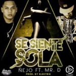 Nejo Ft. Mr. D - Se Siente Sola MP3